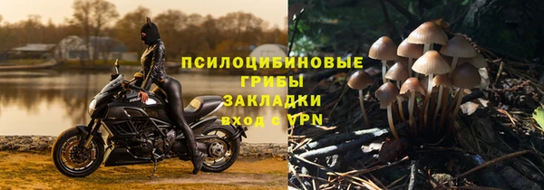 соль ск Надым