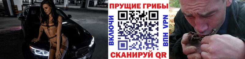 shop официальный сайт  купить закладку  Луга  Галлюциногенные грибы Psilocybine cubensis 