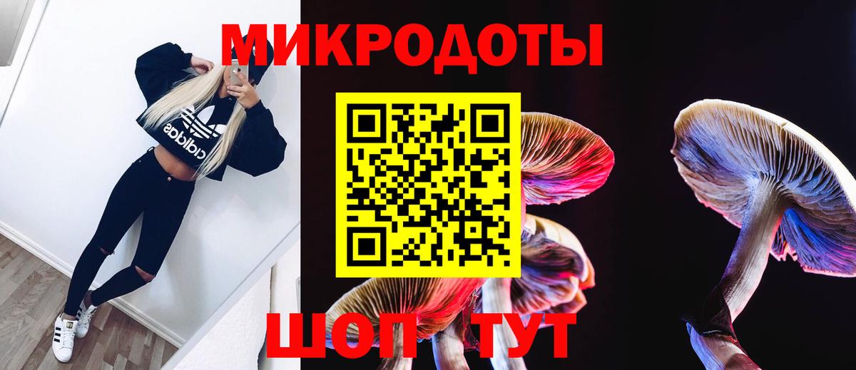 Луга  Псилоцибиновые грибы Cubensis  Вход с VPN 
